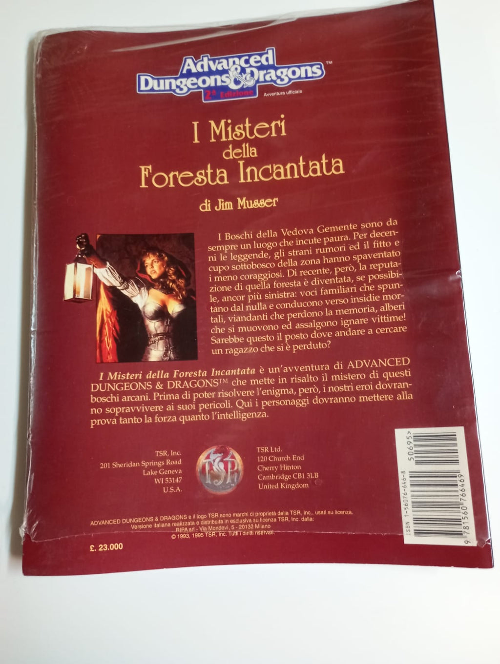 I Misteri della Foresta Incantata – Advanced Dungeons & Dragons 2ª Edizione