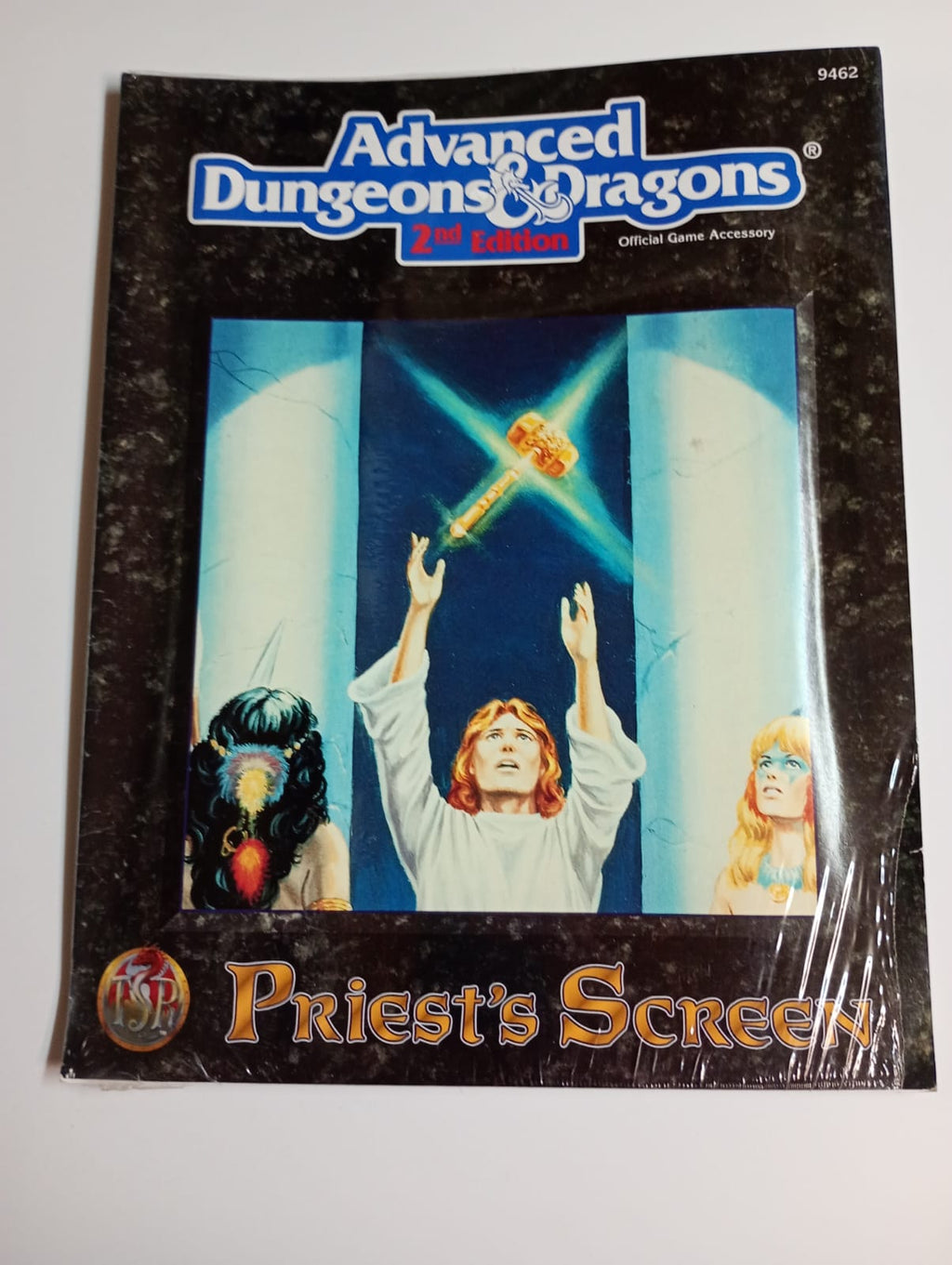 Priest's Screen – Advanced Dungeons & Dragons 2nd Edition