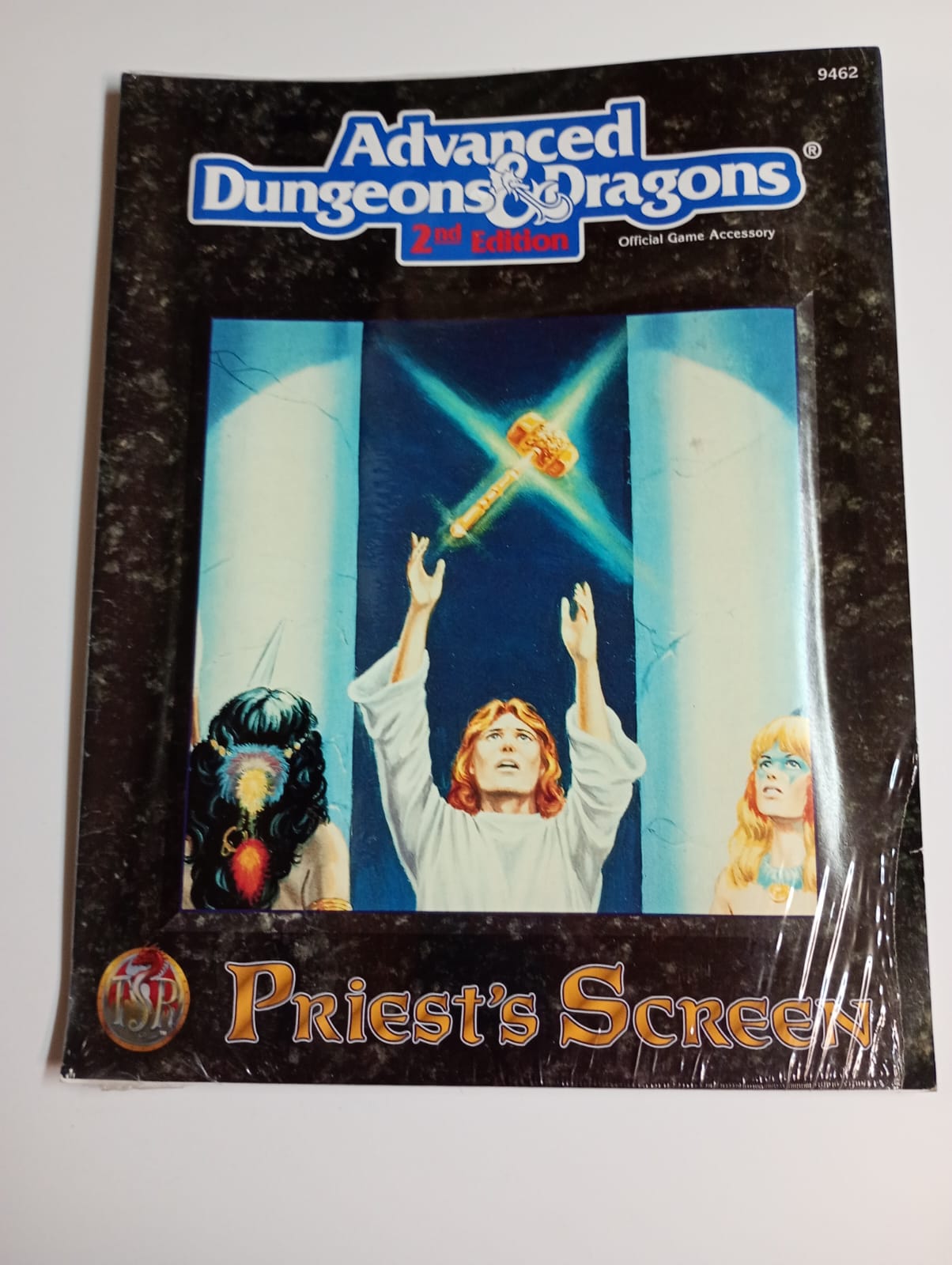 Priest's Screen – Advanced Dungeons & Dragons 2nd Edition